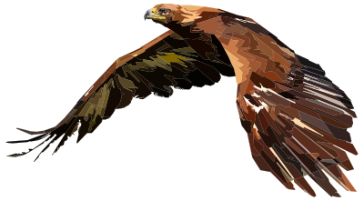 Geometric Hawk By Peri Priatna clipart