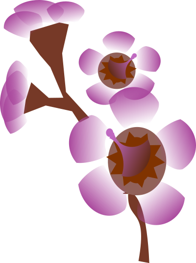 Geraldton Wax clipart