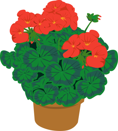 Geramium in a pot clipart