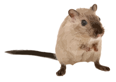 Geri the gerbil clipart