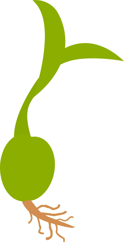 Germinating seed vectorized clipart