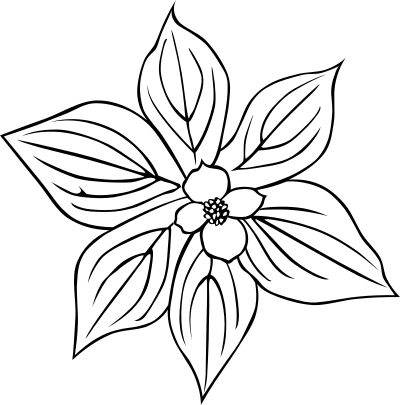 GG cornus canadensis clipart