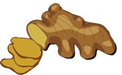 Ginger vegetable Spice clipart