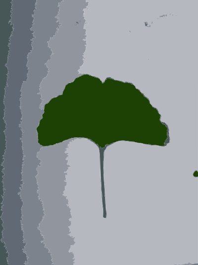 Gingko leaf clipart