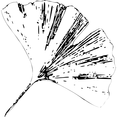 Gingko Leaf E clipart