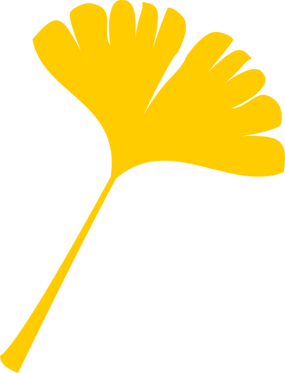 Gingko leaf vectorized clipart