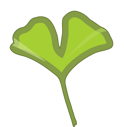 Ginkgo biloba leaf clipart