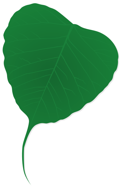 Ginko leaf clipart
