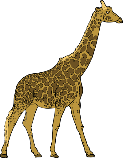 Giraffe clipart