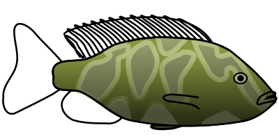 Giraffe Cichlid clipart