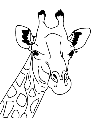 Giraffe Line Art clipart
