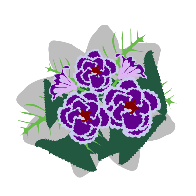 Gloxinia clipart