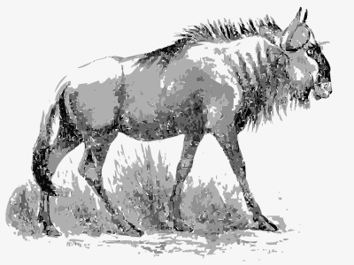 Gnu wildbeest clipart