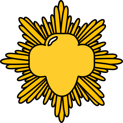 Gold Award Pin clipart