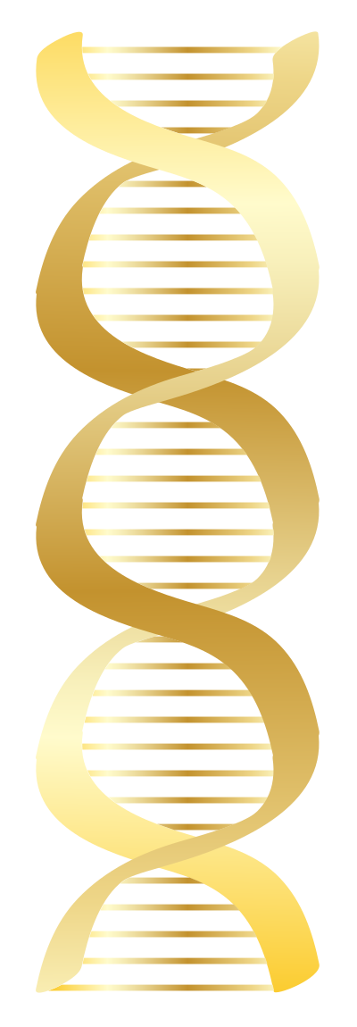 Gold DNA icon clipart