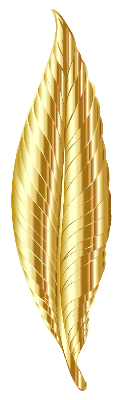 Gold Feather clipart