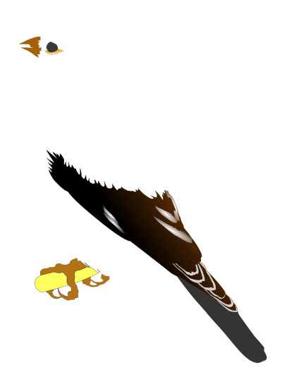 Gold Finch clipart