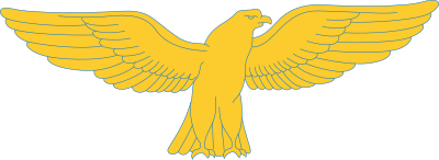 Golden gashawk clipart