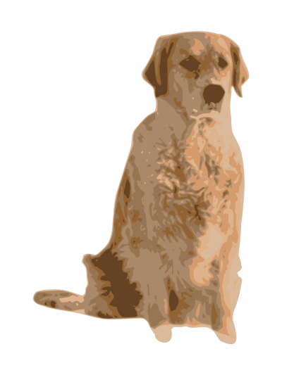 Golden retriever clipart