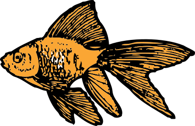 Goldfish clipart