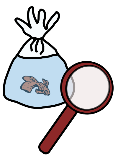 Goldfish Scooping clipart