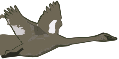 Goose Flying clipart