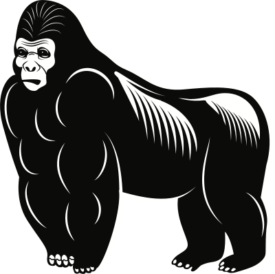 Gorilla clipart