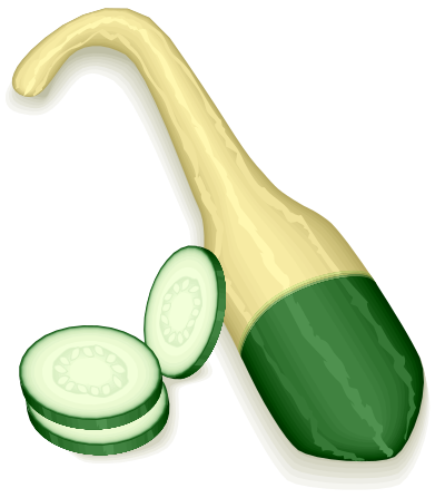 Gourd squash clipart