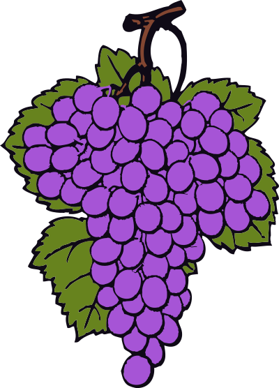 Grape cluster clipart