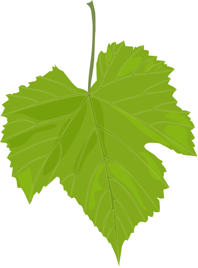 Grape Leaf clipart
