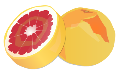 Grapefruit clipart