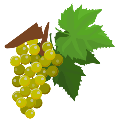 Grapes 010220193 clipart