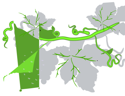 Grapes clipart