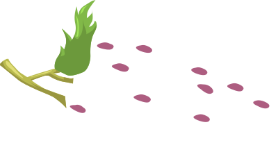 Grapes clipart