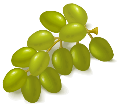 Grapes clipart