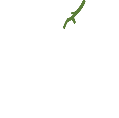 Grapes clipart