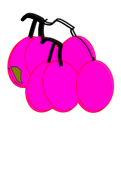 Grapes clipart