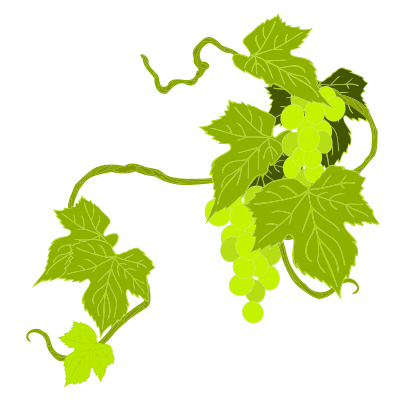 Grapes Illustration clipart