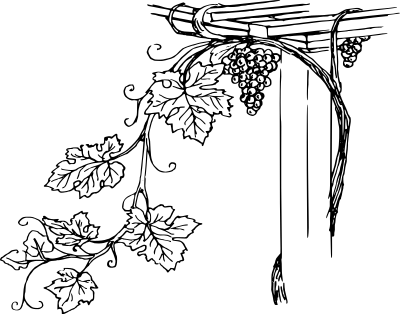 Grapevine 2 clipart
