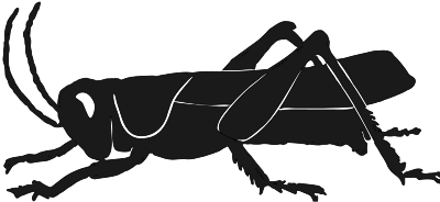 Grashopper silhouette clipart