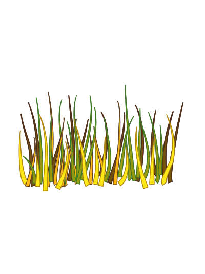 Grass clipart