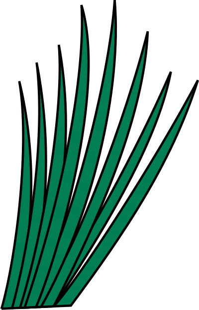 Grass clipart