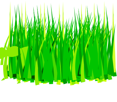 Grass clipart