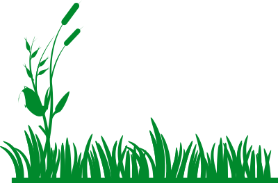 Grass background clipart