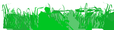Grass for a lawn clipart