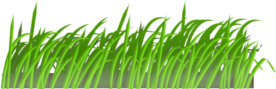 Grass texture clipart
