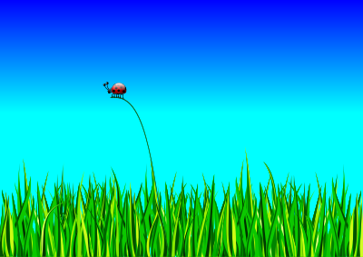Grass with bug clipart