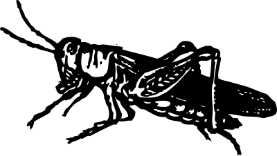 Grasshopper clipart