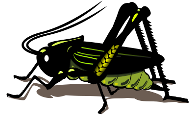 Grasshopper clipart