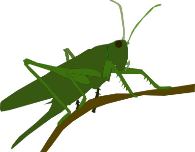 Grasshopper clipart
